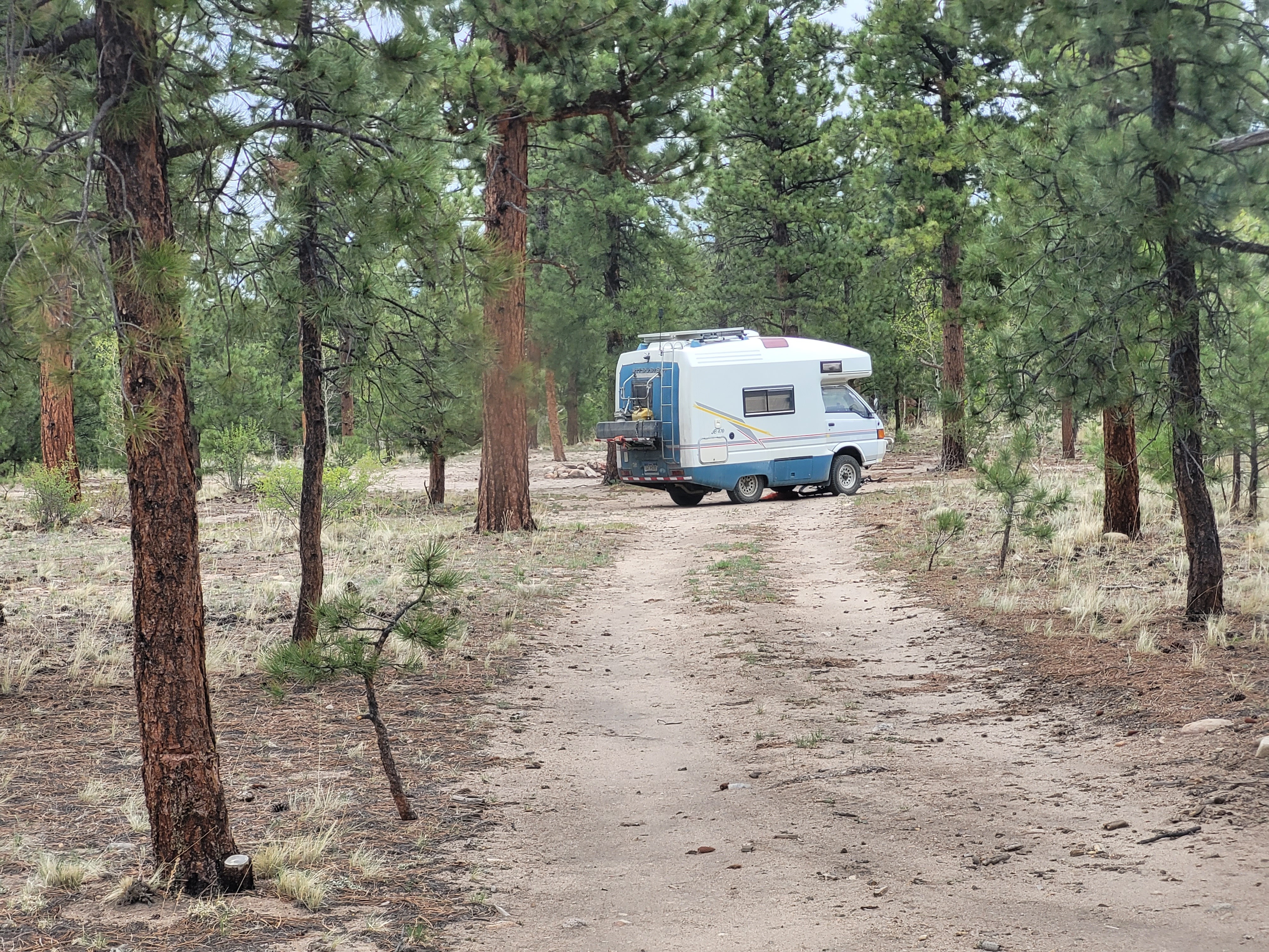 Browns Creek Spur Dispersed Camping - Main photo