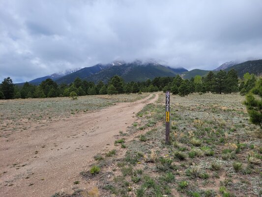 West Fourmile Dispersed Camping