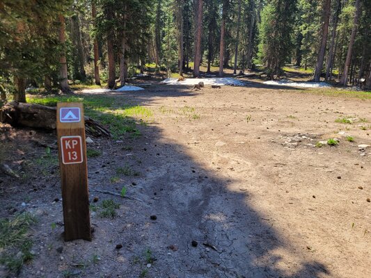 Kebler Pass Designated Dispersed Campsite #13
