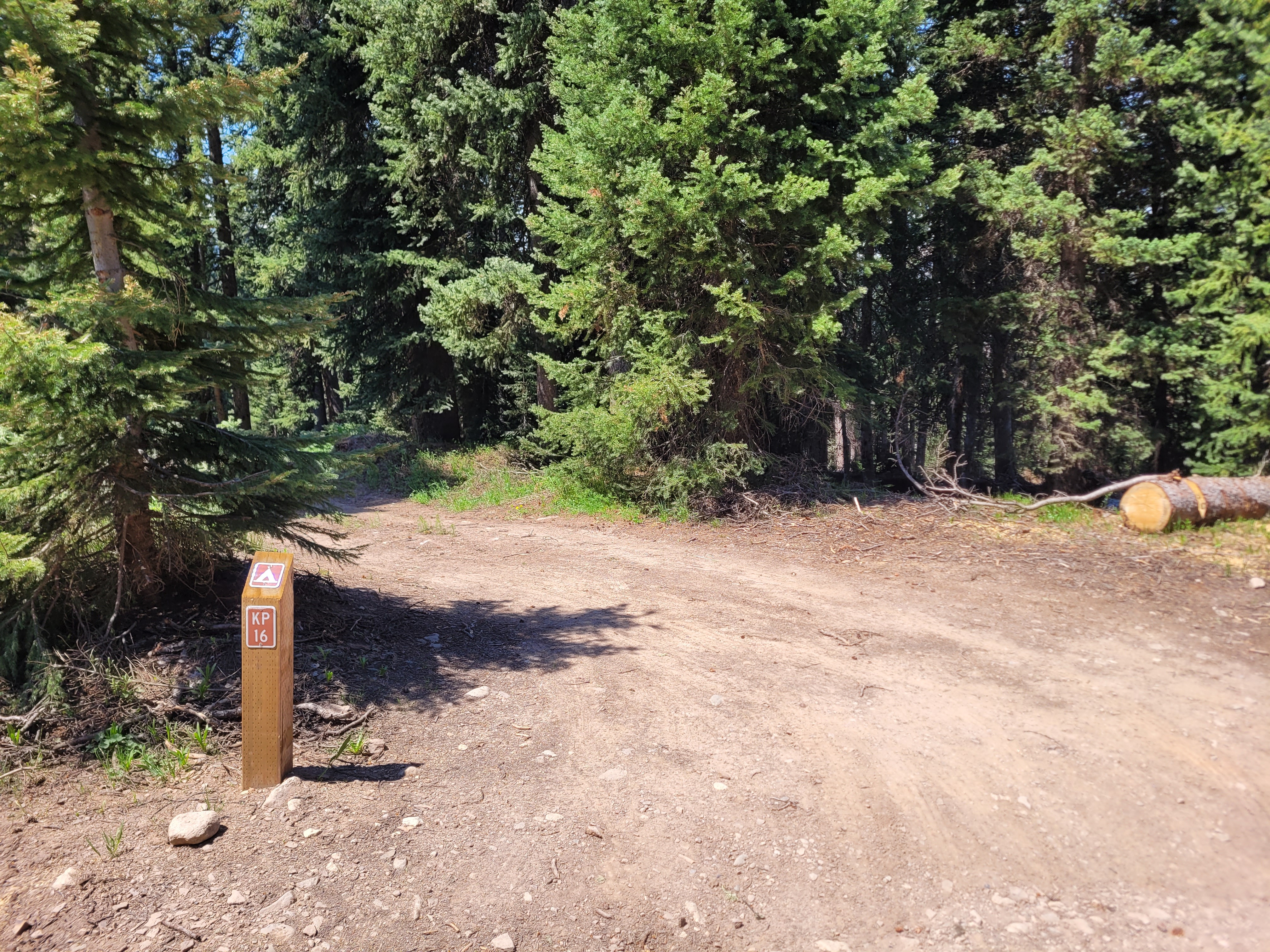 Kebler Pass Designated Dispersed Campsite #16 - Main photo