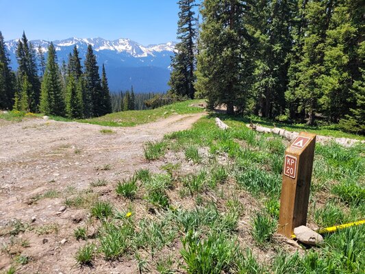 Kebler Pass Designated Dispersed Campsite #20 photo 2