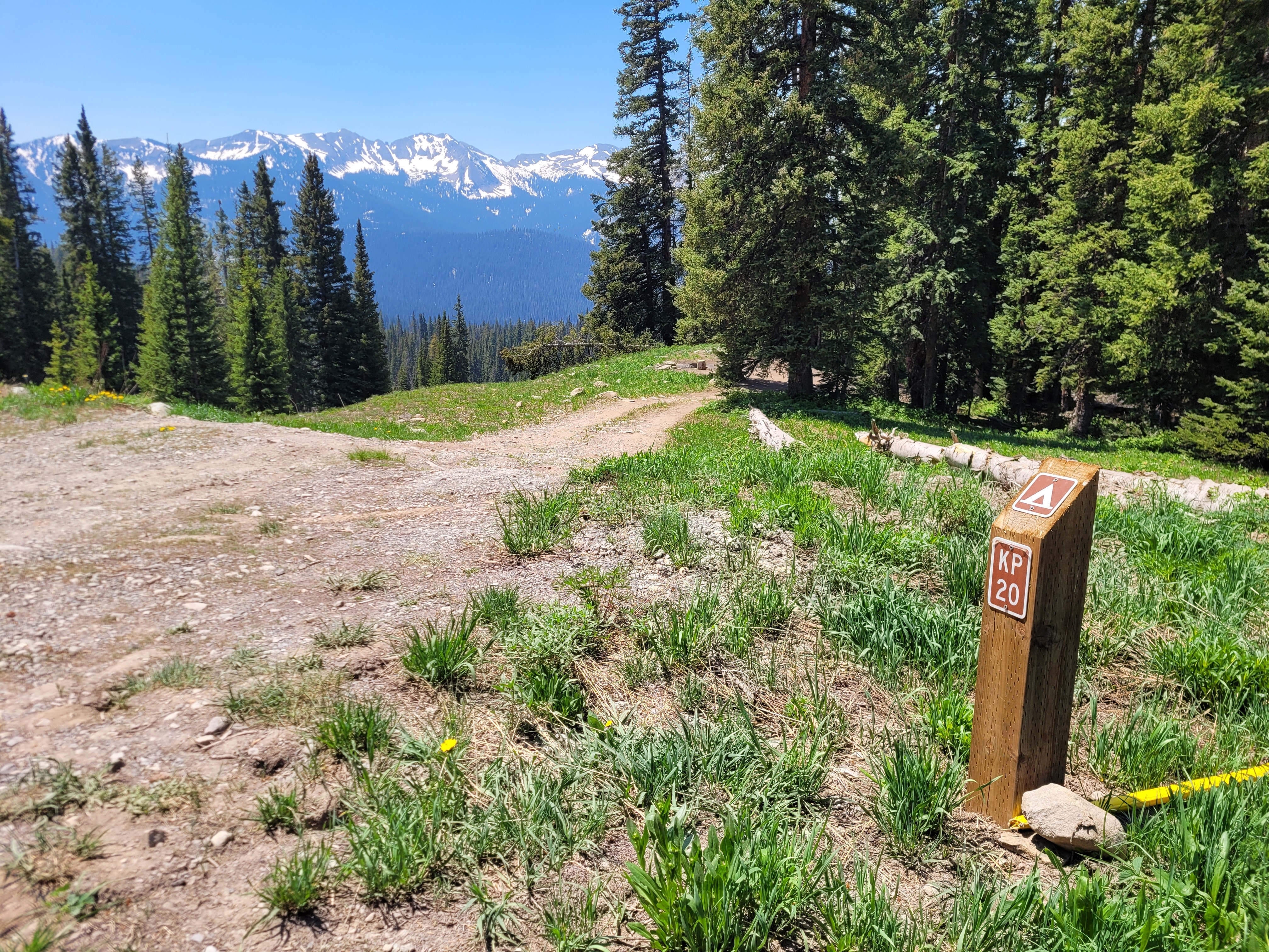 Kebler Pass Designated Dispersed Campsite #20 - Main photo