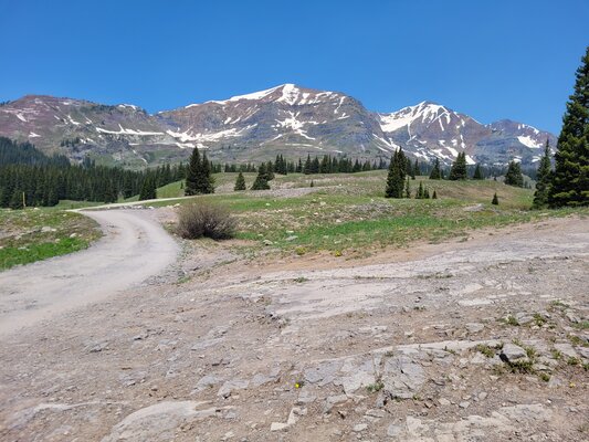 Kebler Pass Designated Dispersed Campsite #21