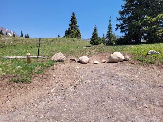 Kebler Pass Designated Dispersed Campsite #25 photo 2