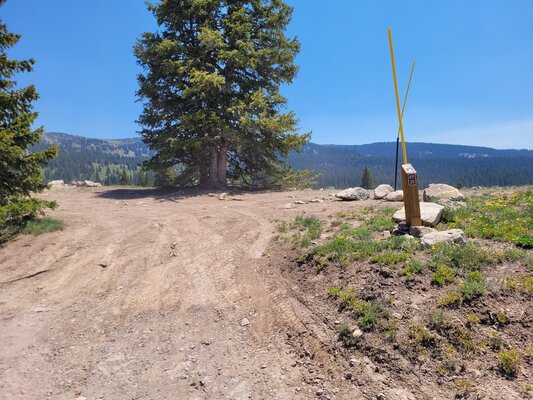 Kebler Pass Designated Dispersed Campsite #30 photo 2