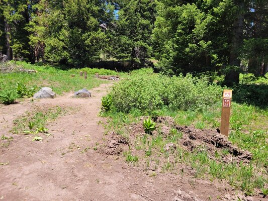 Kebler Pass Designated Dispersed Campsite #26 photo 2