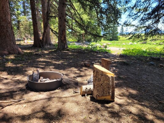 Kebler Pass Designated Dispersed Campsite #29