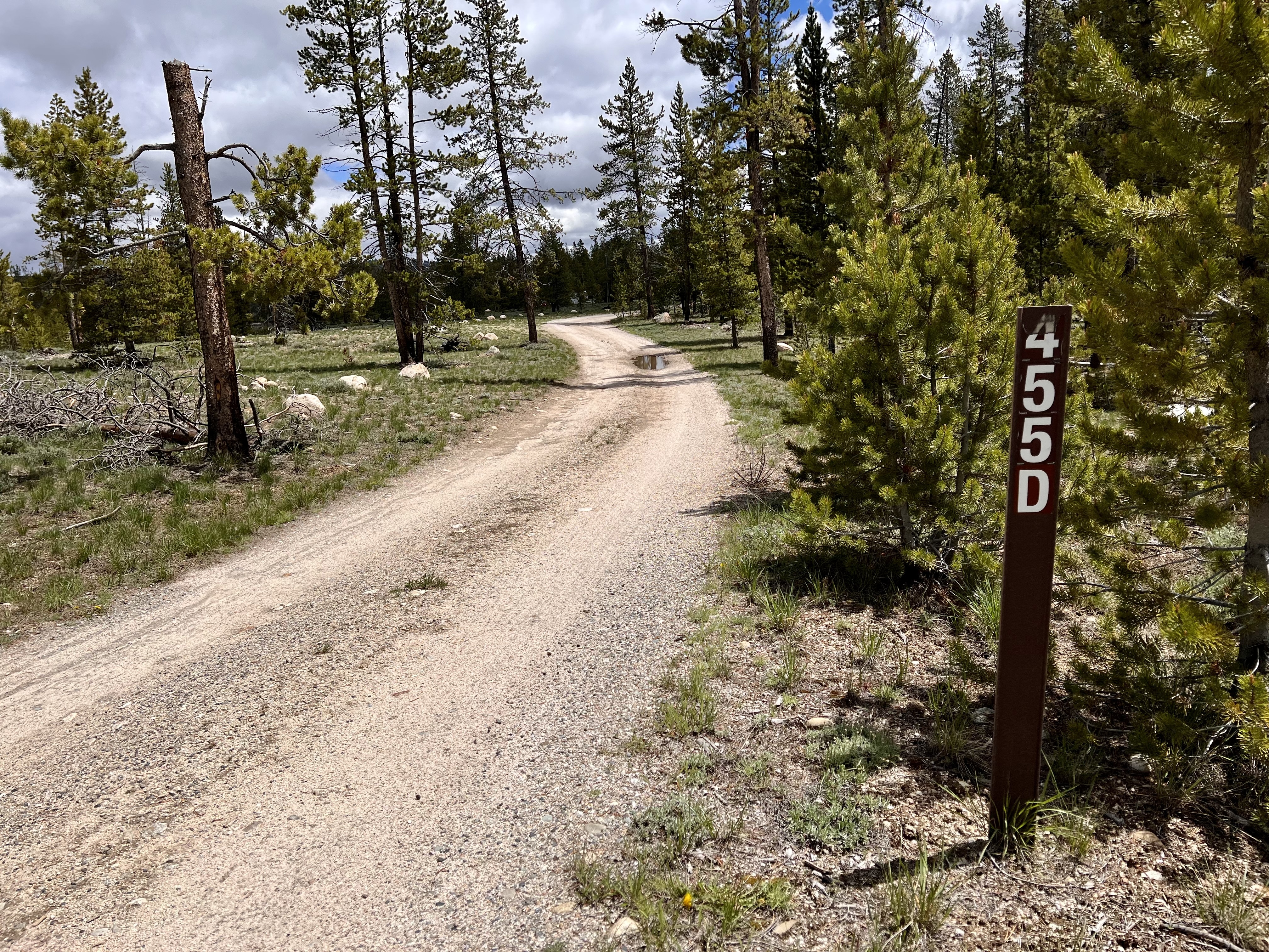 Stanley Lake Spur D Dispersed Camping