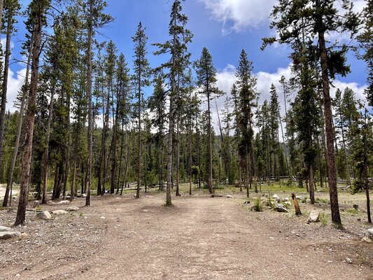 Stanley Lake Outlet Spur A Dispersed Camping photo 2