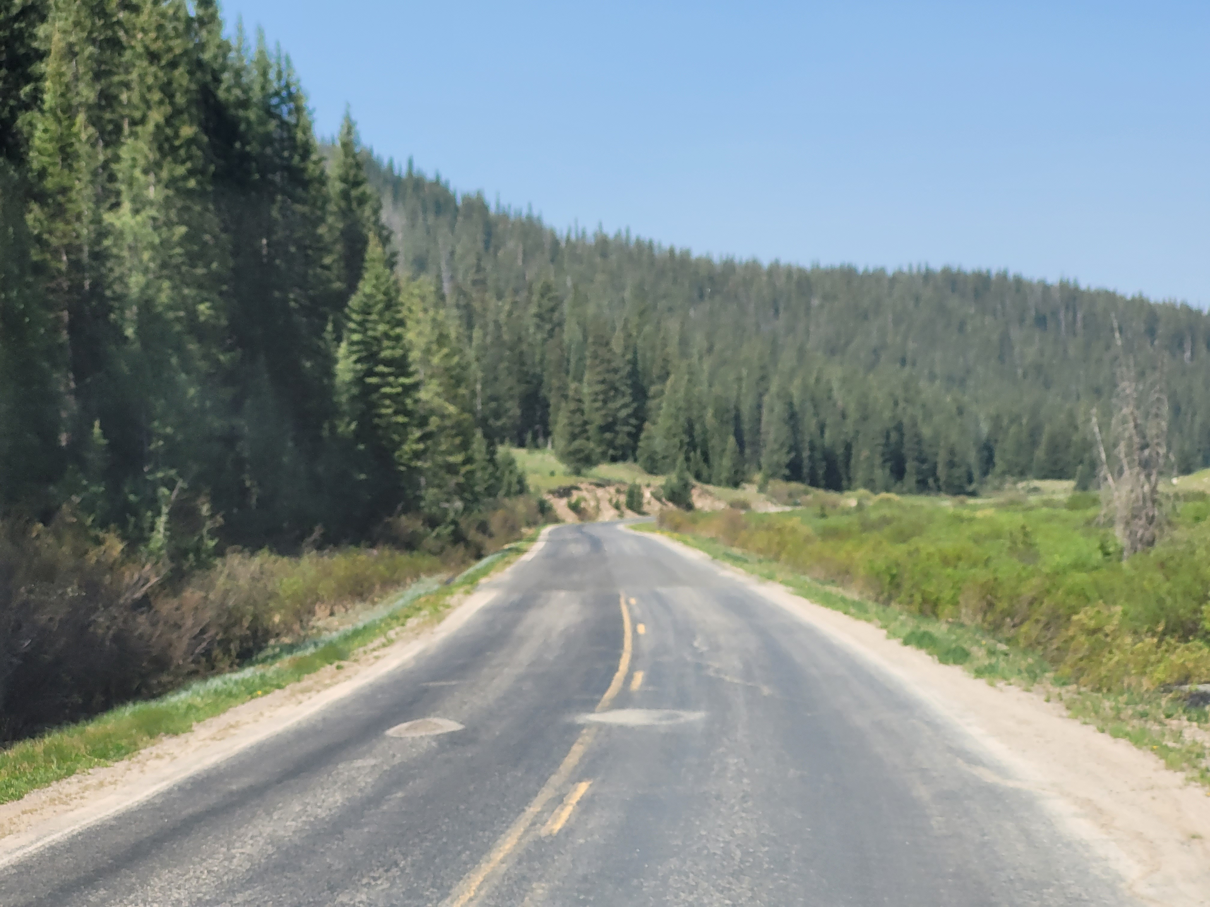 Kebler Pass Designated Dispersed Campsite 12 Reviews updated 2024