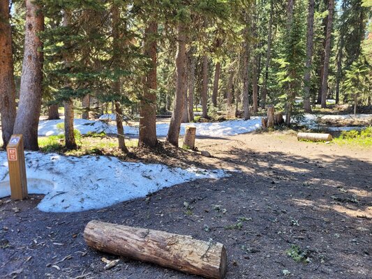 Kebler Pass Designated Dispersed Campsite #12 photo 2