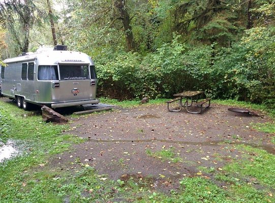 Bogachiel State Park photo 2