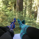 Campbell tree grove campground