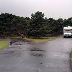 Cape disappointment state park