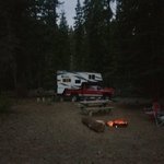 Cedar springs