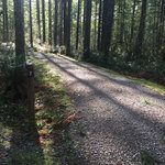 Cold creek campground yacolt burn state forest