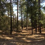 Arcadia campground
