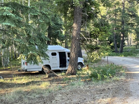Cunningham Campground photo 2