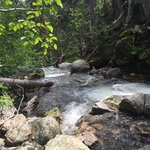 Foggy dew campground