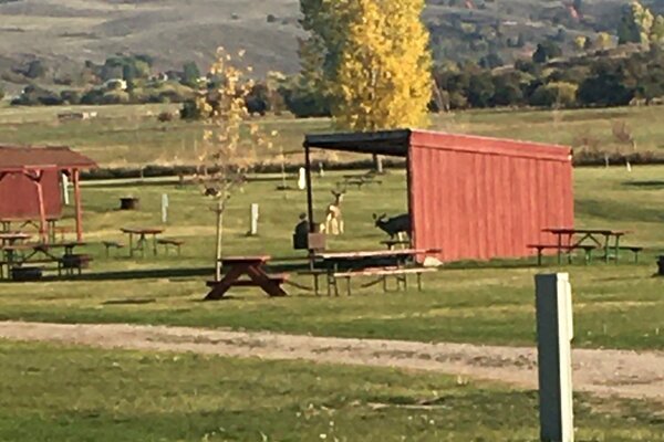 Smith&#39;s Trout Haven