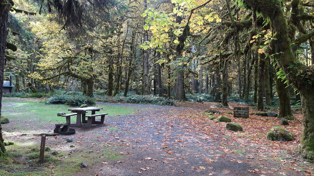 Graves Creek Campground photo 2