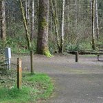 Ike kinswa state park