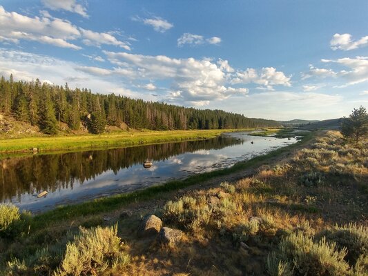 Big Hole River Dispersed Camping photo 2