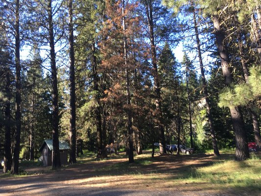 Indian Camp Campground photo 2
