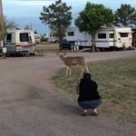 Double adobe campground