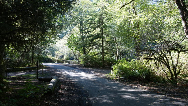 Lake Sylvia State Park photo 2
