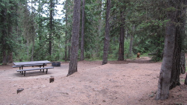 Lake Thomas Campground photo 2