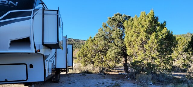 Ward Mountain Dispersed Camping
