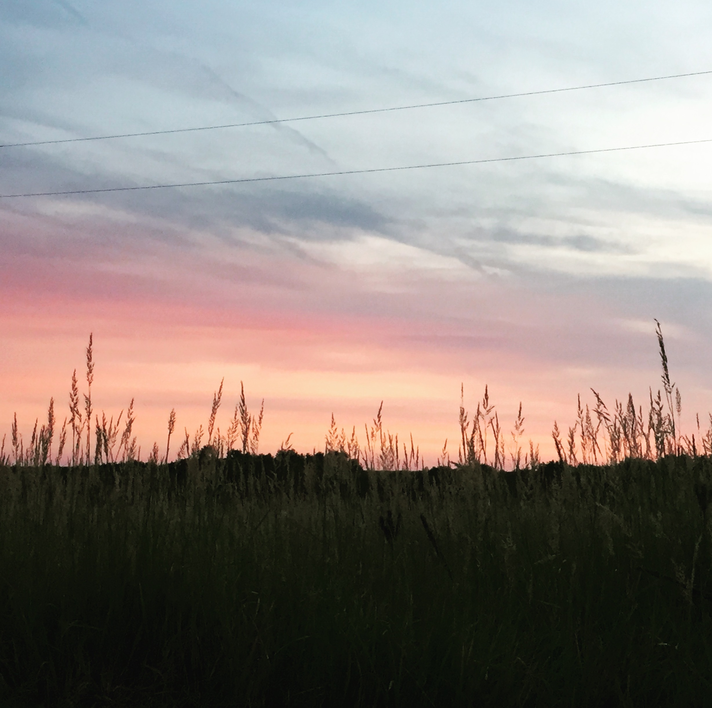 Meadowlark Campground Reviews updated 2024