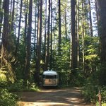Millersylvania state park