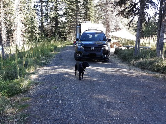 Mount Spokane State Park photo 2