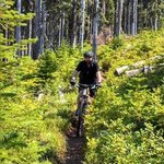Mount spokane state park