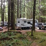 North fork campground gifford pinchot nf