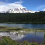 Ohanapecosh campground