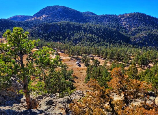 Pingree Dispersed Camping