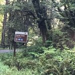 Porter creek campground