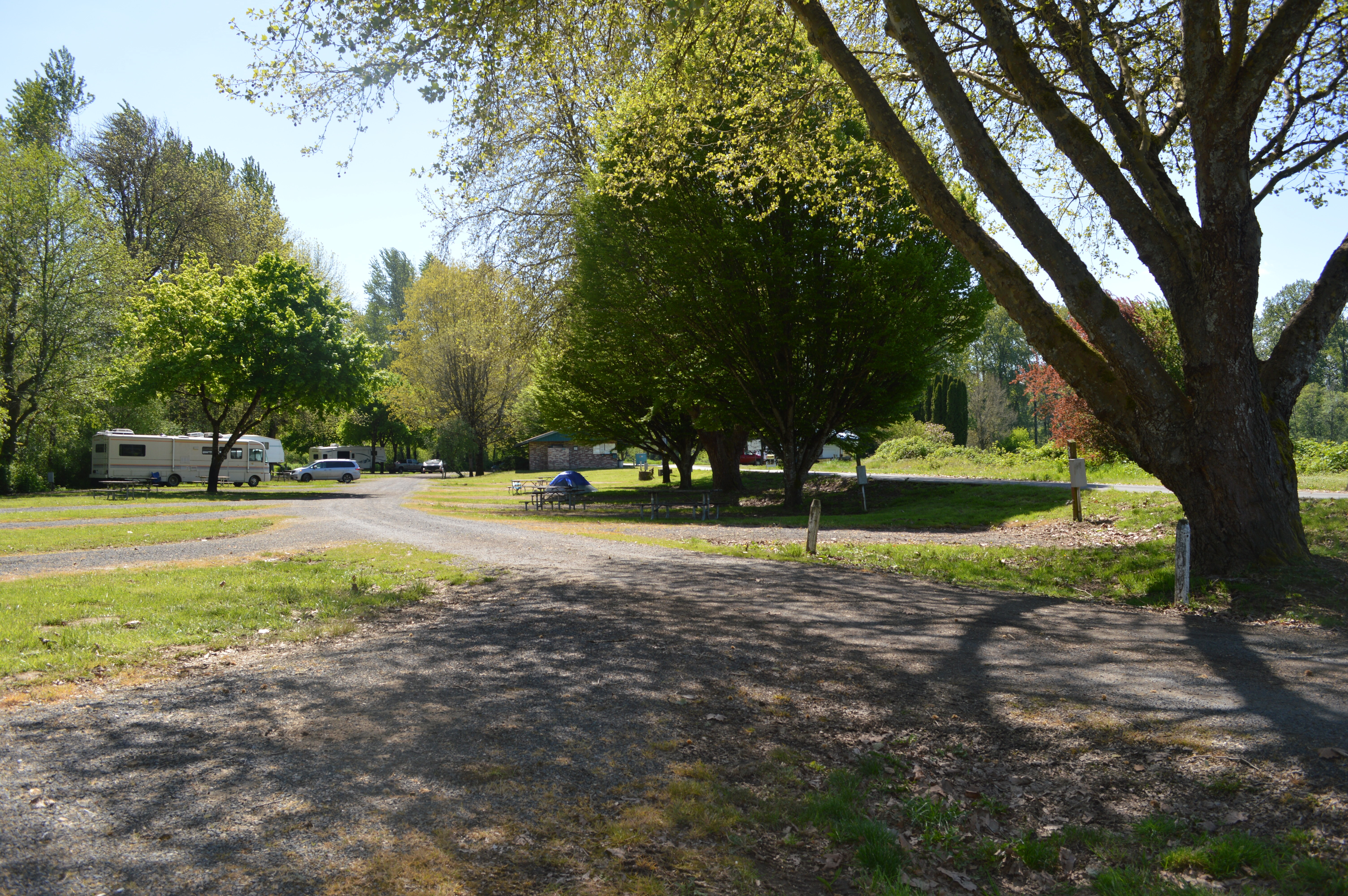 Stan Hedwall Park - Main photo