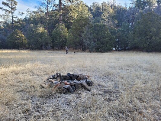 Turkey Cienega Canyon Dispersed Camping photo 2