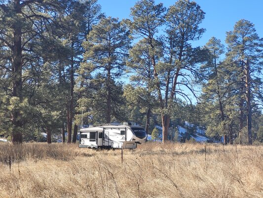 Skates Canyon Dispersed Camping photo 2