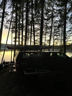 Little Green Pond Designated Dispersed Campsites photo 2
