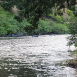 Windy point campground