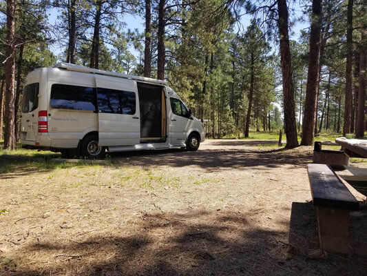 Bearlodge Campground photo 2