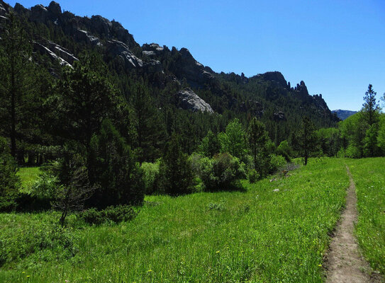 Curtis Gulch photo 2