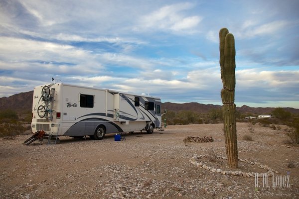 Dome Rock Mountain Camping Area photo 2