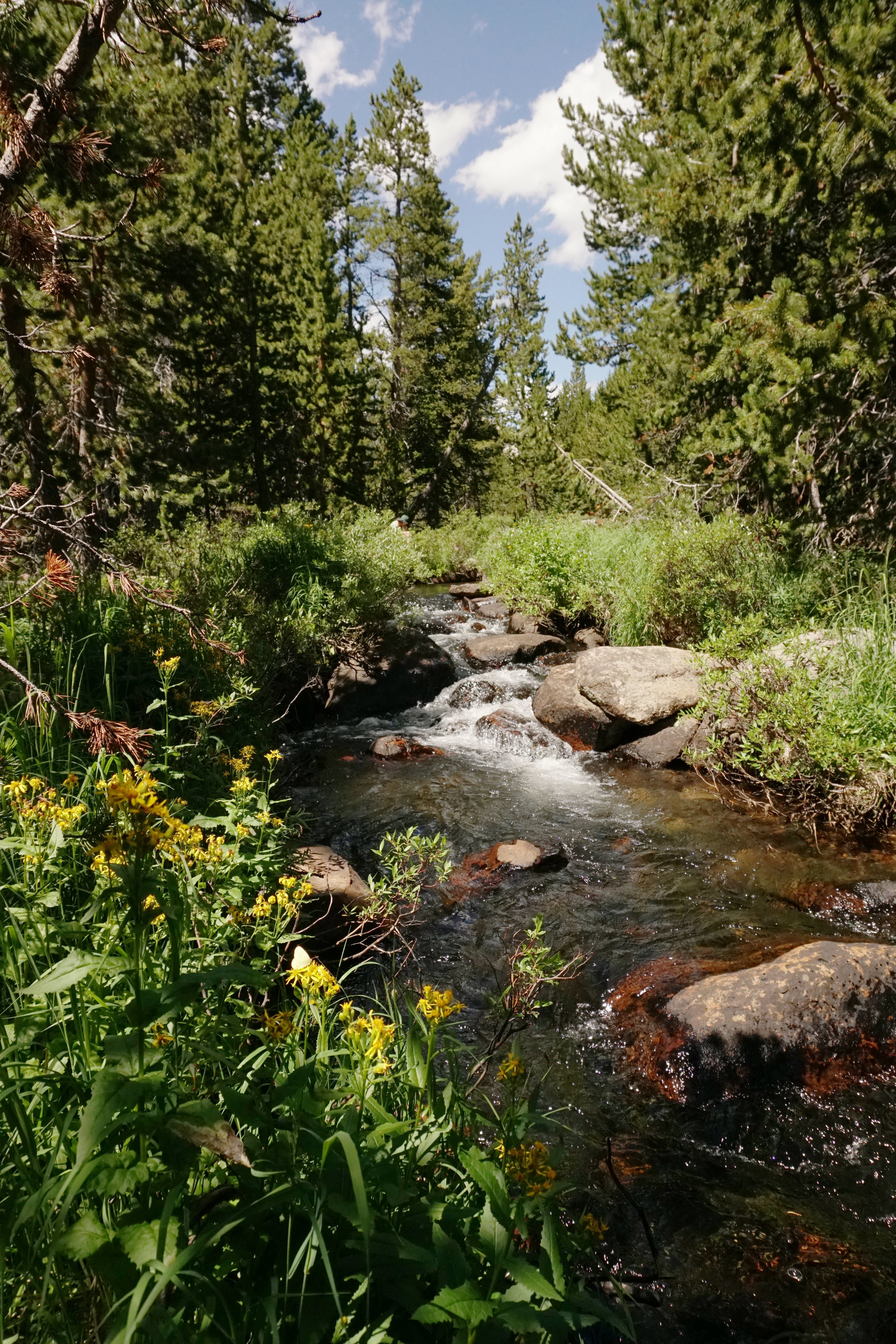 Fiddlers Lake Campground