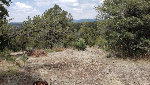 North Star Road Dispersed Camping photo 2